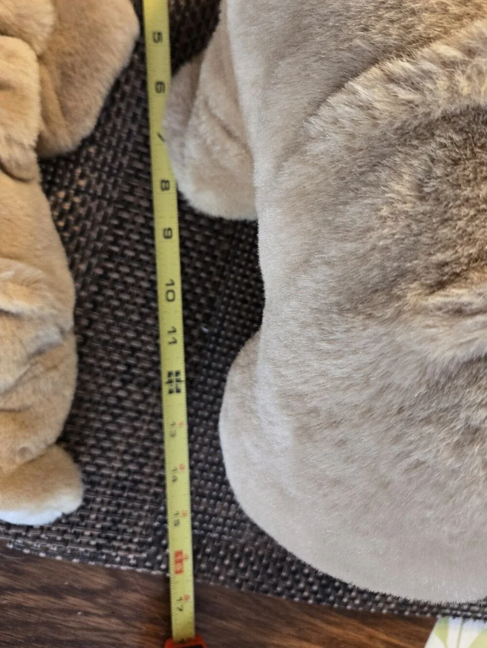 Ty Winston and Wrinkles Pair